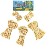 Wizard Of Oz Scarecrow Straw Kit - Rubie's