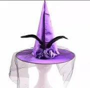 Women's Purple Deluxe Witch Hat Costume Accessory with Feathers