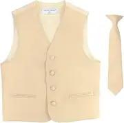 [Vesuvio Napoli] BOY'S Dress Vest & NeckTie Solid LIGHT BROWN Color Neck Tie Set
