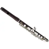 在飛比找蝦皮購物優惠-【六絃樂器】全新日廠 Yamaha YPC-62 黑檀木短笛