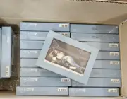 Twice Tsuyu About Zu Haven version unreleased album