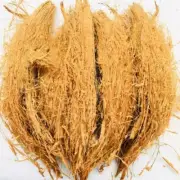 Coconut Husk Fiber 100% Organic Coco Coir 100g Natural Growing Orchid Anthurium
