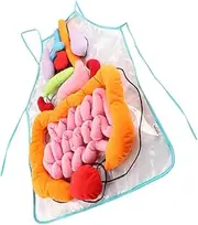 ERINGOGO Preschool Teaching Aid Human Body Organs Apron Polyester 3D Organ Shapes Removable for Learning