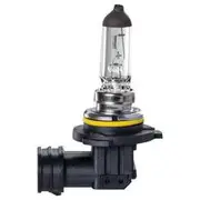 Ignite HB4 51W Halogen Globe with P22D Base - Pack of 1 - IGL2602