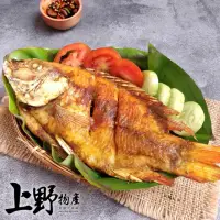 在飛比找momo購物網優惠-【上野物產】8隻 台灣產 嚴選鯛魚 一整隻(海鮮/魚)