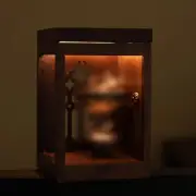 Walnut Sensor Display Case Vintage LED Storage Box for Figure Blind BoxesJk