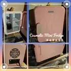 Mini Cosmetic Fridge by Aidek with plug and Car Lighter Adaptor