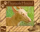 Pharaoh Hound Laser Engraved Wood Picture Frame (5 x 7)