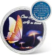 IELCJJ One Day at A Time Medallion, Butterfly Sobriety Coin Recovery Chip Serenity Prayer Token Sobriety Gifts