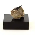 Stones And Minéraux. Anatase (11mm) + Quartz 8.0 Ct. La Lauzière, Savoy, Fran