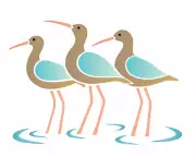Shorebird STENCIL Sandpiper Killdeer Plover Sand Beach Bird Art DIY Signs Joanie