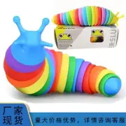 5Pc Funny Flexible Stress Relief Slug Sensory Fidget Toys for Kids