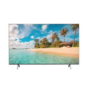 【Panasonic 國際牌】43型4K連網液晶智慧顯示器(TH-43MX650W)