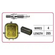 RAE Oxygen Sensor - OX823