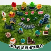 在飛比找momo購物網優惠-【療癒時光】迷你微景觀植物擺件(小公仔 樹脂 DIY 水族造