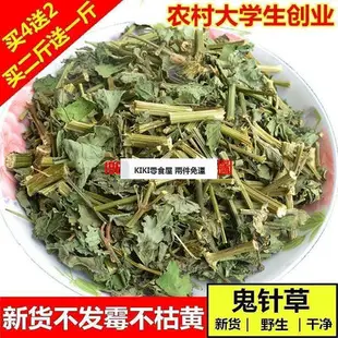 【食全食美零食商城】 兩件免運  新貨鬼針草野生草三葉鬼針草茶歸真草幹品有葉有桿500g