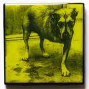 ALICE IN CHAINS Ceramic Custom Tile COASTER s/t Barware Cork Album Cover Art
