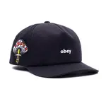 OBEY FRANK 5 PANEL 帽子《JIMI 》