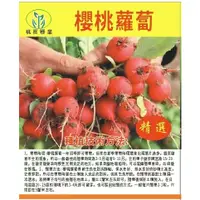 在飛比找蝦皮購物優惠-【原廠包裝】【櫻桃蘿蔔】蘿蔔種子 櫻桃蘿蔔種子 蔬果水果種子