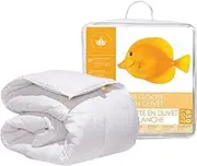 Canadian Down & Feather Co. - All Season Weight 650 Loft White Goose Down Duvet King Size Doona - 360 TC Shell 100% Cotton 180 GSM Quilt - Filled in Canada