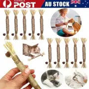 10pcs Cat Toys Kitty Dental Teeth Chew Stick Natural Silvervine Sticks for Cats
