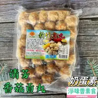 在飛比找蝦皮購物優惠-【淨味香素食】清芳 新竹素貢丸(蛋奶素)素貢丸 素丸子 煮湯