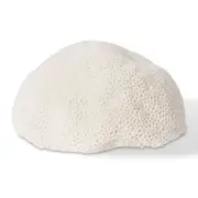 E Style Coral Resin Lamp Starlet Light Tabletop Home Decor 35x27cm White