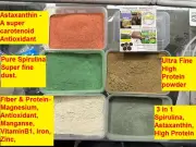 Brine Daphnia shrimp , Live Microworms, Vinegar Eels, Daphnia Food, Pipette