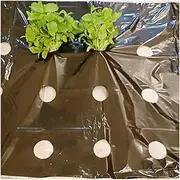 0.02mm 5 Holes Black Garden Film, Vegetable Plants Grow Film Protection Cover Greenhouse Perforated PE Mulch Film (Size : 5 Meters)