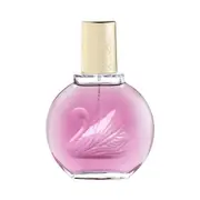 Gloria Vanderbilt Minuit A New York 100ml Eau De Parfum