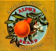 Riverside Alpha Orange Citrus Fruit Crate Label Art Print