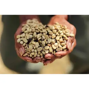 1kg生豆 咖啡生豆 咖啡豆 馬拉威藝妓 耶加雪夫 衣索比亞 特級藍山 巴拿馬 巴西國寶 瓜地馬拉 肯亞 哥倫比亞000