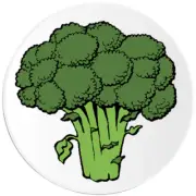 Broccoli - 3 Pack Circle Stickers 3 Inch - Vegetable Green Veggie Food