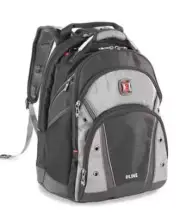 SwissGear Wenger Synergy Pro Backpack