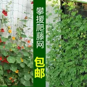 家庭園藝尼龍爬藤網植物種植網黃瓜絲瓜攀爬網百香果葫蘆鐵線蓮網