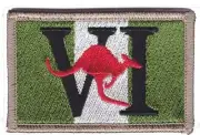 6RAR Unit Colour Patch White background on hook backing. FREE POST✔