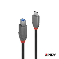 在飛比找蝦皮商城優惠-LINDY 林帝 ANTHRA系列 USB3.2 GEN1 