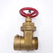ARGCO 2-1/2"MNPTx 2-1/2"FNPT 300PSI Straight Fire Hose Gate Valve W/ Male Swivel