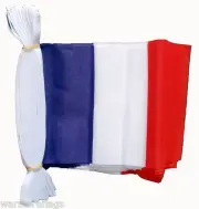 FRANCE FLAG BUNTING 9 metres 30 flags PARIS FRENCH