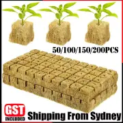 50-200x Grow Starter Rockwool Cubes Plug Hydroponic Planting Cloning Propagation