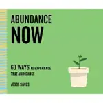 ABUNDANCE NOW: 60 WAYS TO EXPERIENCE TRUE ABUNDANCE