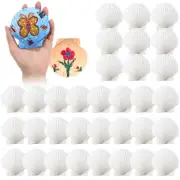 30 Pcs Scallop Shells for Crafts White Sea Shells Bulk Natural Large Oyster S