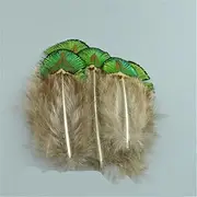 [Hamthuit] Natural Chicken Pheasant Feathers Ostrich Feathers for Crafts DIY Jewelry Accessories Wedding Decoration 3-7 CM8 20 pcs