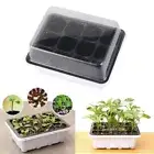 12 Hole Plant Grow Box Propagation Nursery Starter Tray Plant Pot With Cover AU