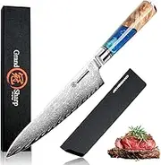 Chef Knife Damascus Japanese 8 inch VG10 Kitchen Knife 67-Layer Damascus Steel Pro Ergonomic Superb Sharp Edge Gyuto Chef Knife[Gift Box]-Blue Resin Handle