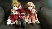 TY Rare Beanie Babies and Buddies-Monkeys, Includes 1995 Bongo, With Errors