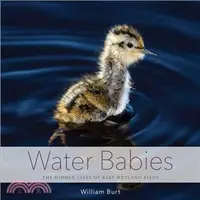 在飛比找三民網路書店優惠-Water Babies ─ The Hidden Live