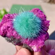169G Indian dandelion zeolite Quartz Crystal Cluster Mineral Specimen