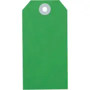 Avery 14130 Shipping Tag Size 4 108x54mm Green Box 1000