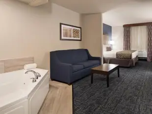 Best Western Plus Flint Airport Inn & Suites